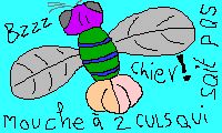 MADCQSPC = Mouche à deux cus qui sait pas chier